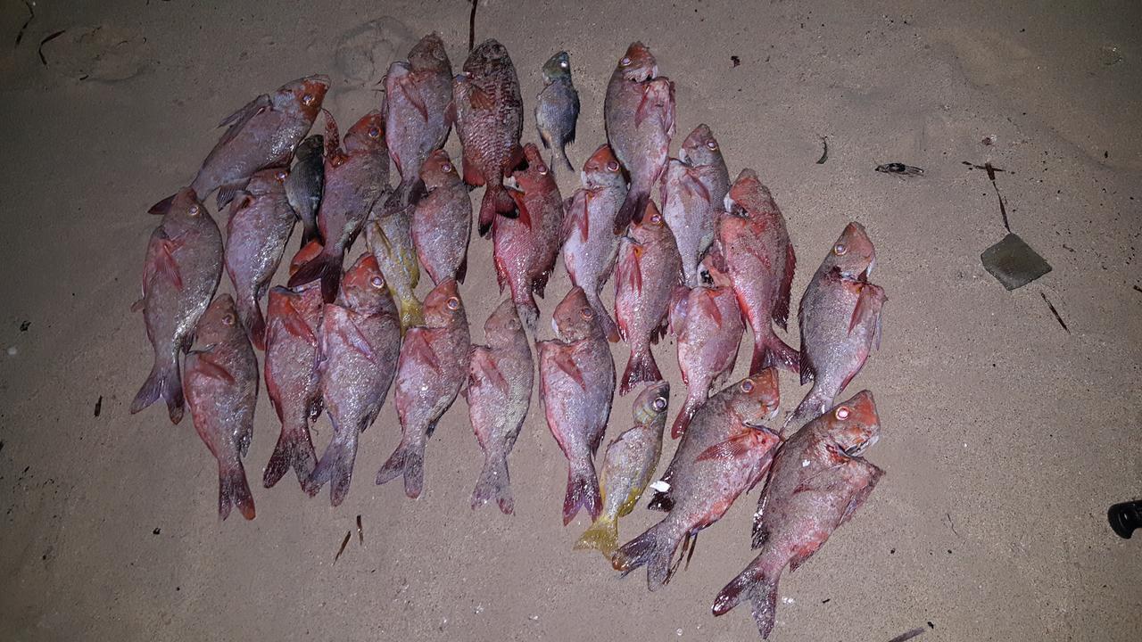 Rasdhoo Dive Lodge Zewnętrze zdjęcie