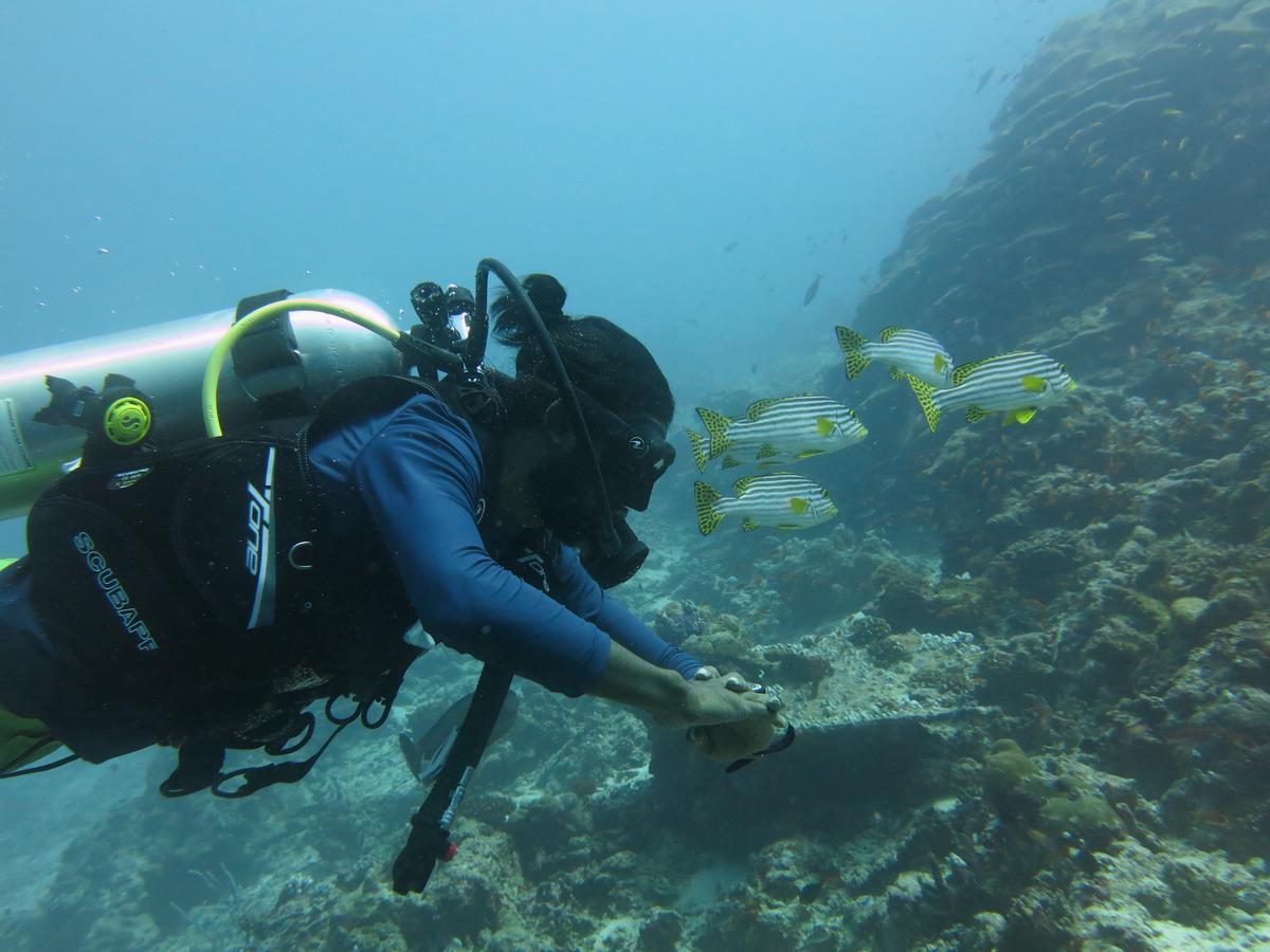 Rasdhoo Dive Lodge Zewnętrze zdjęcie