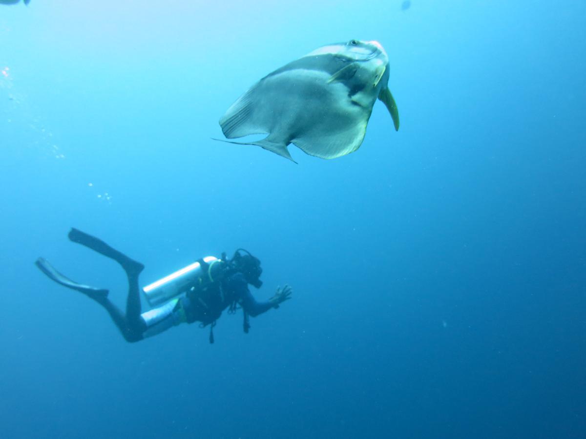 Rasdhoo Dive Lodge Zewnętrze zdjęcie