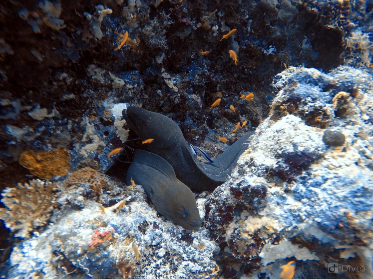 Rasdhoo Dive Lodge Zewnętrze zdjęcie