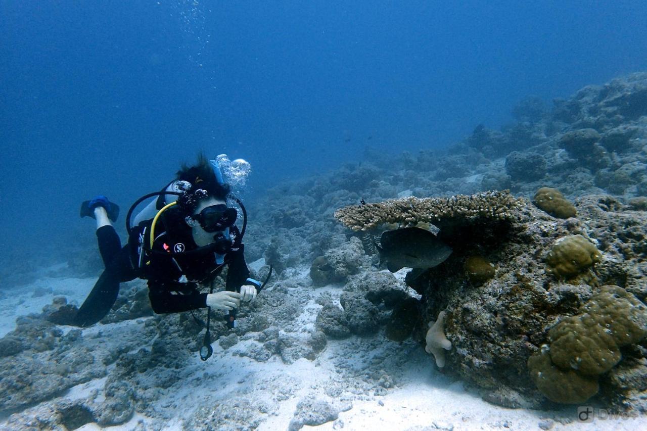 Rasdhoo Dive Lodge Zewnętrze zdjęcie