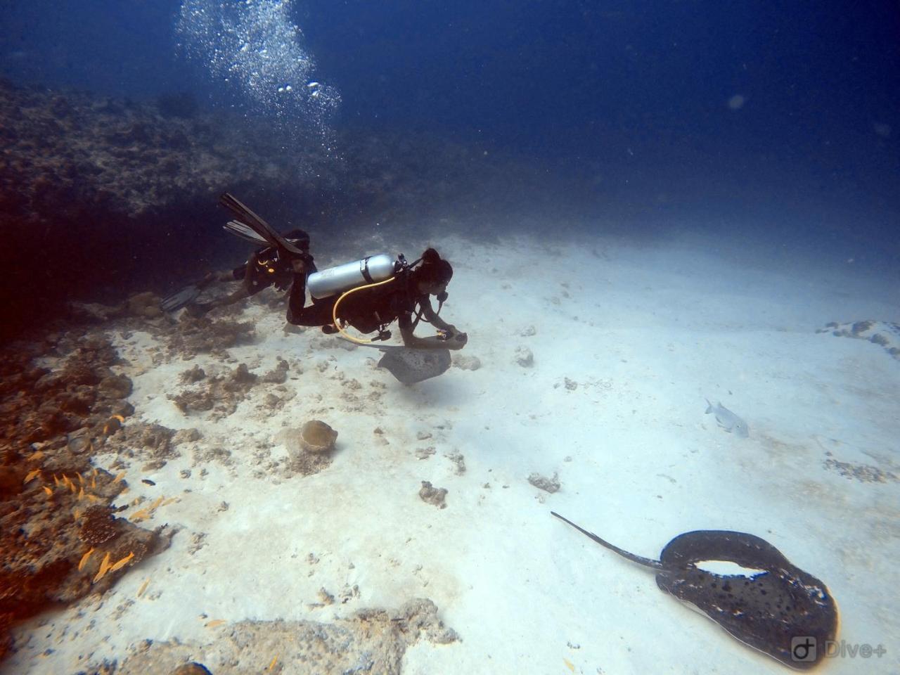 Rasdhoo Dive Lodge Zewnętrze zdjęcie